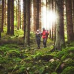patrik_svedberg-hiking_in_the_woods-6427